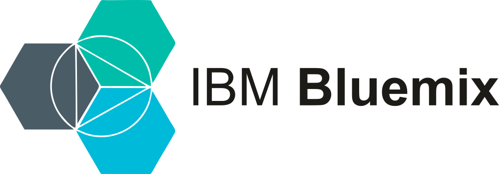 IBM Cloud Partner